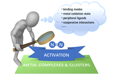 Recent Developments of Dinitrogen Activation on Metal Complexes and Clusters  2022-0197